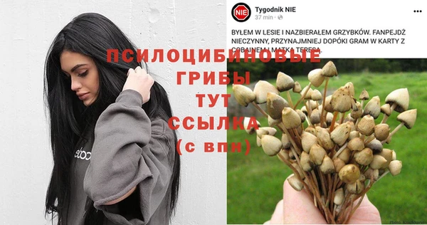 винт Алзамай
