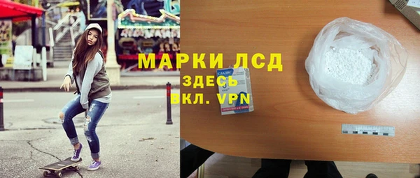 винт Алзамай