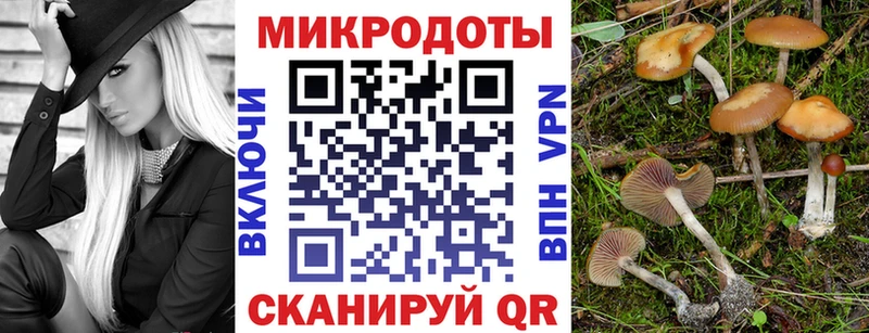 купить наркотики сайты  Льгов  Псилоцибиновые грибы Psilocybe 