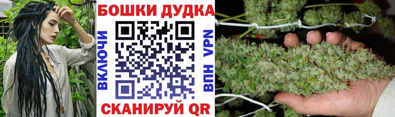 магазин    Льгов  мега как войти  Шишки марихуана план 